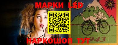 стафф Дубна